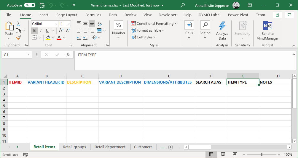 The Excel Import Template Document